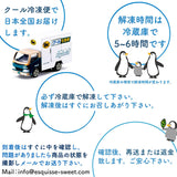 セミオーダー74