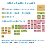 セミオーダー43