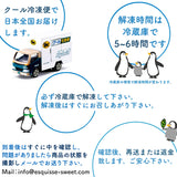 セミオーダー43