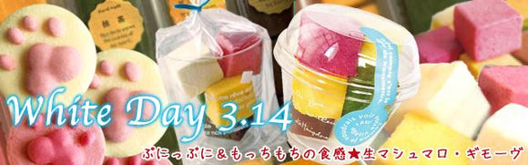 White Day Collection 2022