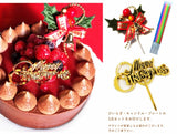 チョコレートクリスマスケーキ 2022 with Crimson berry 【14cm】